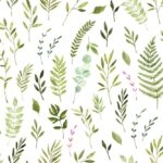 Cotton Digital Baltimora