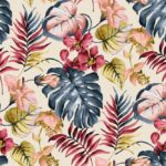 Cotton Digital Baltimora