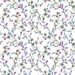 Cotton Digital Baltimora