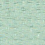 Cotton Digital Baltimora