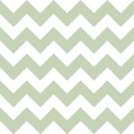 Cotton Digital Baltimora