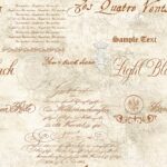 Cotton Digital Baltimora