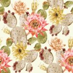 Cotton Digital Baltimora