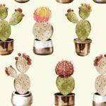 Cotton Digital Baltimora