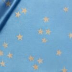 RASO JOLLY CARNEVALE