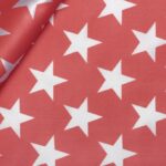 RASO JOLLY CARNEVALE