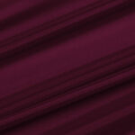 PIUMA-ELASTICA-ORTENSIA