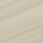 PIUMA-ELASTICA-ORTENSIA