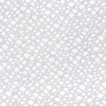 MAGLINA-ELASTICA-CLUB