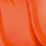 Raso-Viareggio-copia