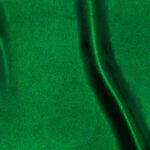 Raso-Viareggio-copia