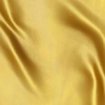 Raso-Viareggio-copia