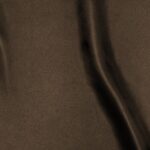 Raso-Viareggio-copia