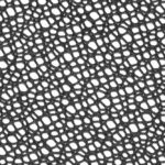 MAGLINA-ELASTICA-CLUB