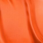 Raso-Viareggio-copia