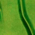 Raso-Viareggio-copia