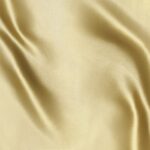 Raso-Viareggio-copia