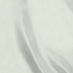 Raso-Viareggio-copia