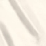 Raso-Viareggio-copia