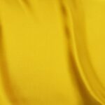 Raso-Viareggio-copia