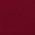 Katerina-bielastico-copia