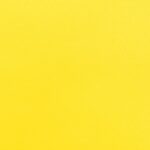 Katerina-bielastico-copia