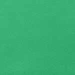 Katerina-bielastico-copia