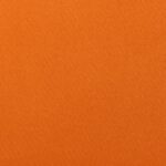 Katerina-bielastico-copia