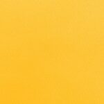 Katerina-bielastico-copia