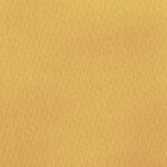 Katerina-bielastico-copia