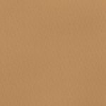 Katerina-bielastico-copia