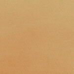 Katerina-bielastico-copia