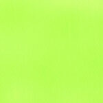 Katerina-bielastico-copia