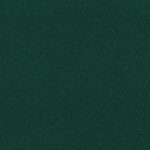 Katerina-bielastico-copia