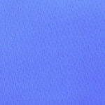 Katerina-bielastico-copia