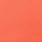 Katerina-bielastico-copia