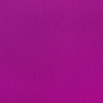 Katerina-bielastico-copia