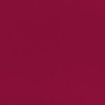 Katerina-bielastico-copia