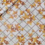 TOVAGLIATO-PLASTICA-PARTY