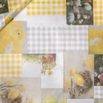 TOVAGLIATO-PLASTICA-PARTY