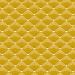 TOVAGLIATO-PLASTICA-PARTY