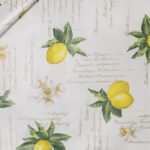 TOVAGLIATO-PLASTICA-PARTY