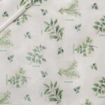 TOVAGLIATO-PLASTICA-PARTY