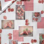 TOVAGLIATO-PLASTICA-PARTY