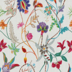 TOVAGLIATO-PLASTICA-PARTY