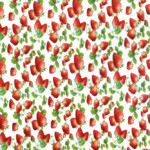 TOVAGLIATO-PLASTICA-PARTY