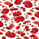 TOVAGLIATO-PLASTICA-PARTY