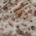 TOVAGLIATO-PLASTICA-PARTY