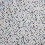 COTONE DIGITAL FLOWERS