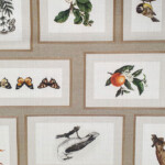 TESSUTO PANAMA DIGITAL PROVENZA